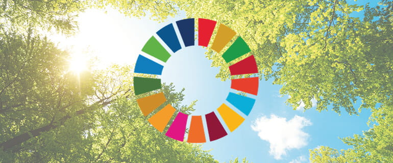 Ciele OSN v oblasti udržateľného rozvoja