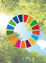 Objetivos de Desenvolvimento Sustentável da ONU