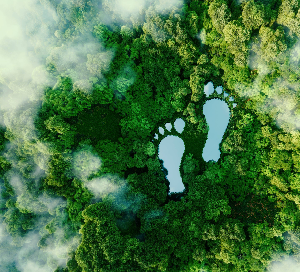 ProFuse RC som bærekraftig Blue-versjon