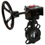 565 Butterfly Valve Gear Wafer