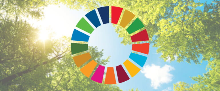 Trajnostni razvojni cilji