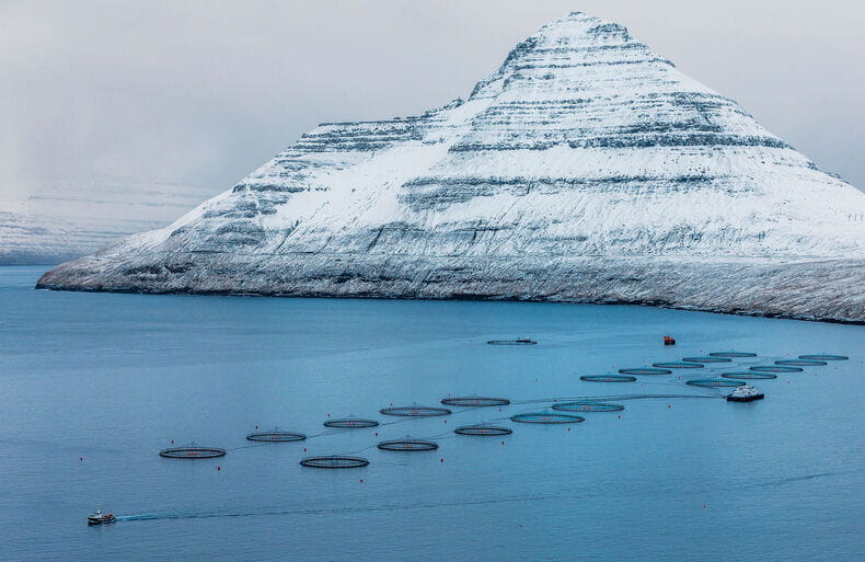 Delivery of fish farming pipes under harsh conditions  in the North Atlantic